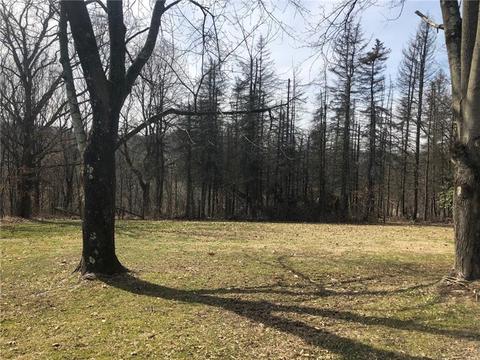 134 Dobson Rd, Mars, PA 16046 photo 21