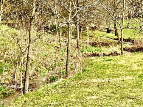 1098 White Cloud Rd, Apollo, PA 15613 photo 4