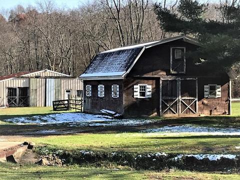 647 Pine Run Rd, Apollo, PA 15613 photo 6