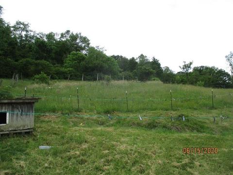 264 Spade Rd, Rochester, PA 15074 photo 6