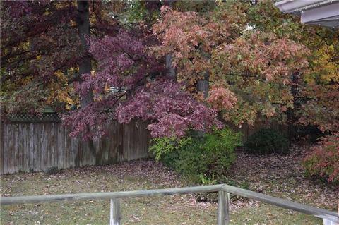 704 Pine St, Mars, PA 16046 photo 25
