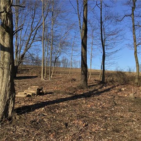 421 Willowbrook Rd, Apollo, PA 15613 photo 16