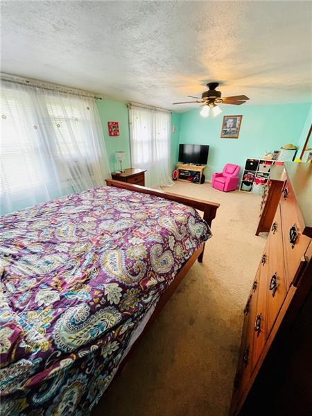 941 Old State Rd, Apollo, PA 15613 photo 15