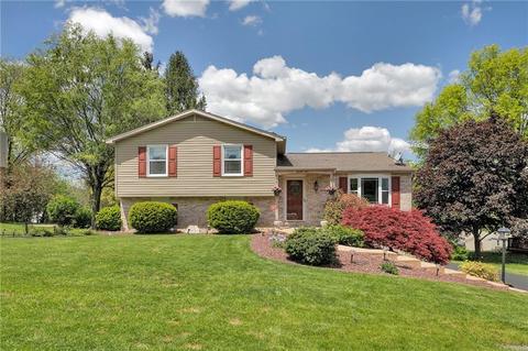 21 Pheasant Run Dr, Export, PA 15632 photo 1