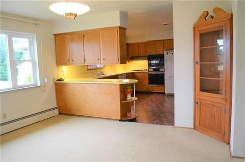 313 E Saltwork St, Elderton Boro, PA 15736 photo 4