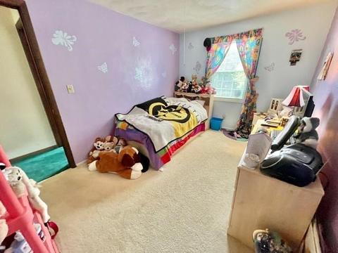2120 Stoops Ct, North Apollo, PA 15673 photo 13