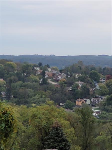 1043 Wolfe Ave, North Braddock, PA 15104 photo 21