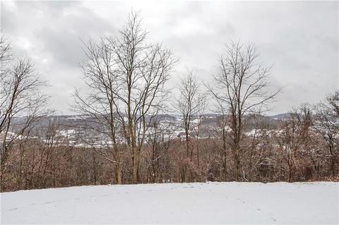 1005 Pointe View Dr, Mars, PA 16046 photo 21