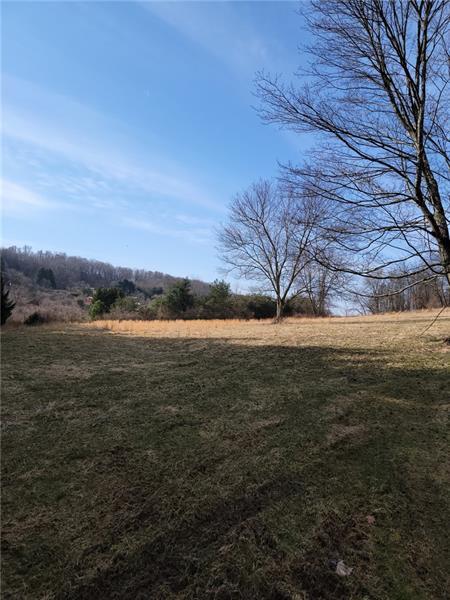 841 Edmon Rd, Apollo, PA 15613 photo 11