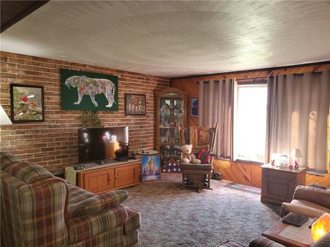 1103 Forest Ave, Vandergrift, PA 15690 photo 8