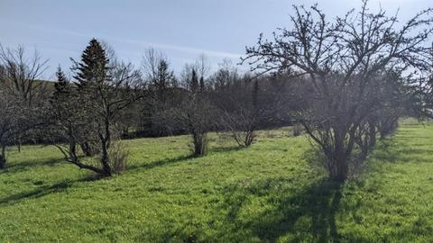 1823 E Mud Pike, Berlin, PA 15530 photo 16