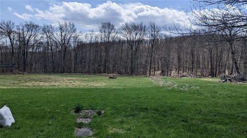 1823 E Mud Pike, Berlin, PA 15530 photo 13