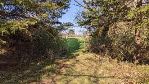 1823 E Mud Pike, Berlin, PA 15530 photo 12