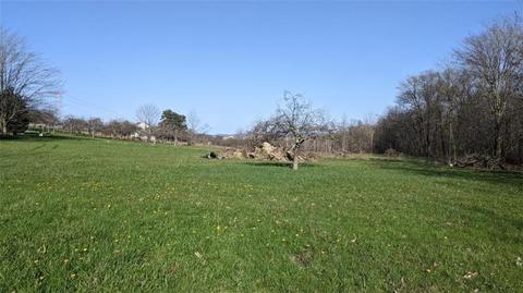 1823 E Mud Pike, Berlin, PA 15530 photo 15