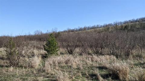 1823 E Mud Pike, Berlin, PA 15530 photo 14