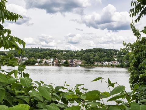 7 River Rd, O'hara, PA 15238 photo 7
