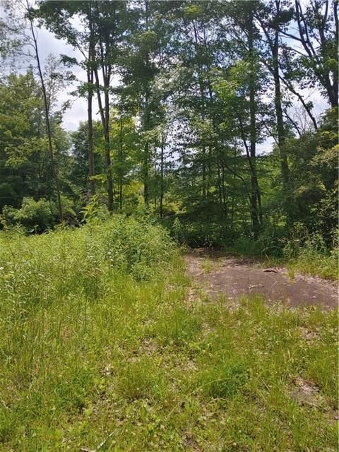 049 Georgetown Rd, Irwin Twp, PA 16374