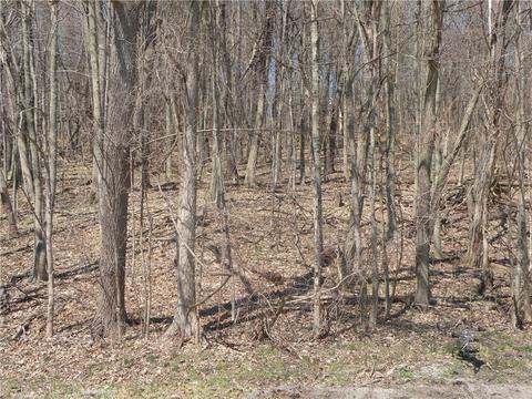 118 Lutes Road, Eighty Four, PA 15330