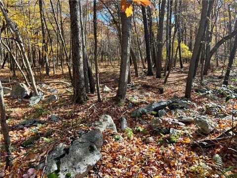 0 Linclon Hwy, Jennerstown, PA 15926