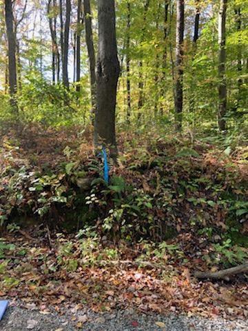 Tr312 Ober Road, Stahlstown, PA 15687
