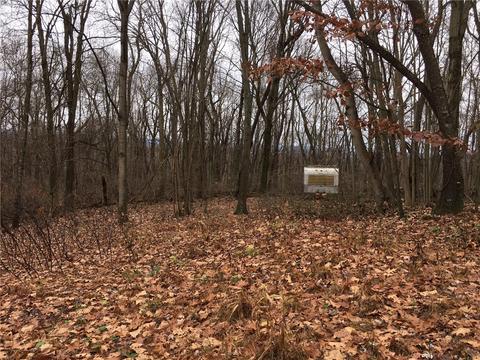 25 Wren Drive, Loyalhanna, PA 15681