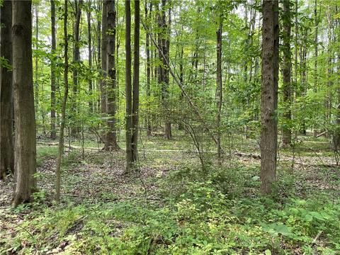 00 Cedar, Espyville, PA 16424