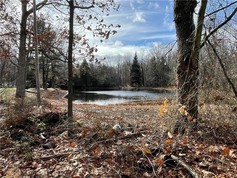 536 Shaffer Mountain Rd, Cairnbrook, PA 15924