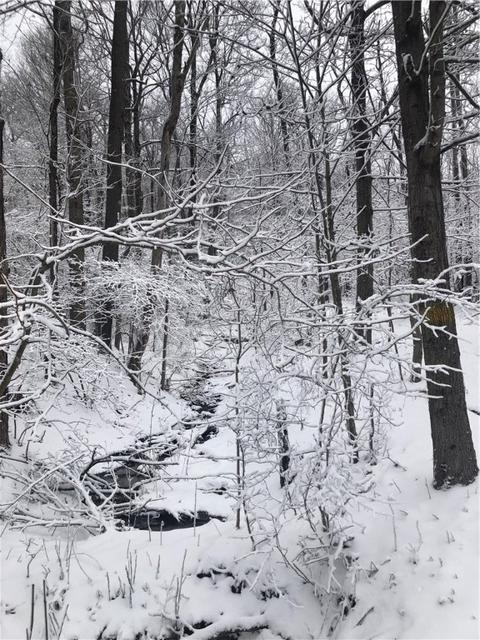 0 County Line Rd, Champion, PA 15622