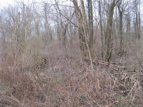 Lot 103b Wilson Avenue, New Castle, PA 16102