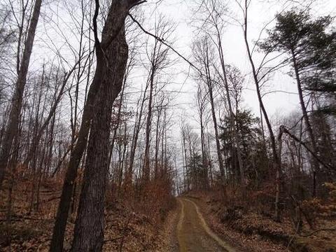 000 Bush Road, 15757, PA 15757