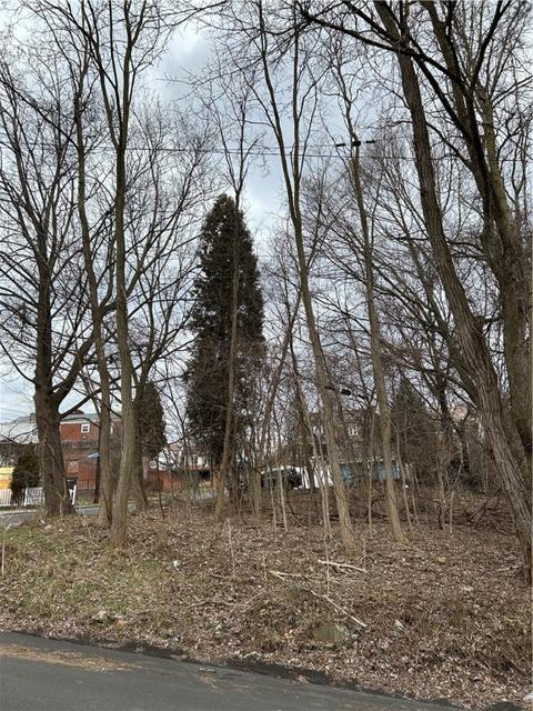 278 Mayfield Ave, Pittsburgh, PA 15214