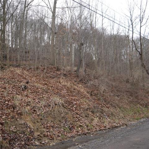 000 Cooney Hollow Rd, Economy, PA 15143