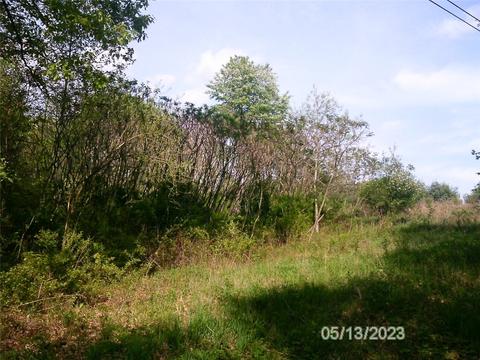 0 Kane Rd, South Pymatuning Twp, PA 16150