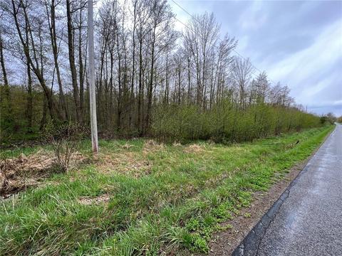 50 Vacant Acres, Saegertown, PA 16412