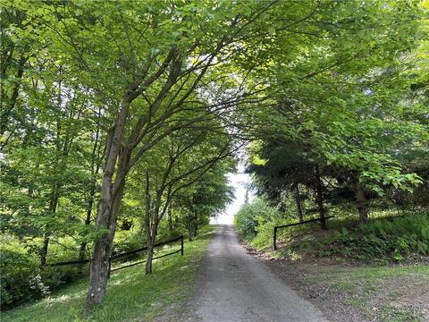 1149 School Rd, Apollo, PA 15613 photo 8