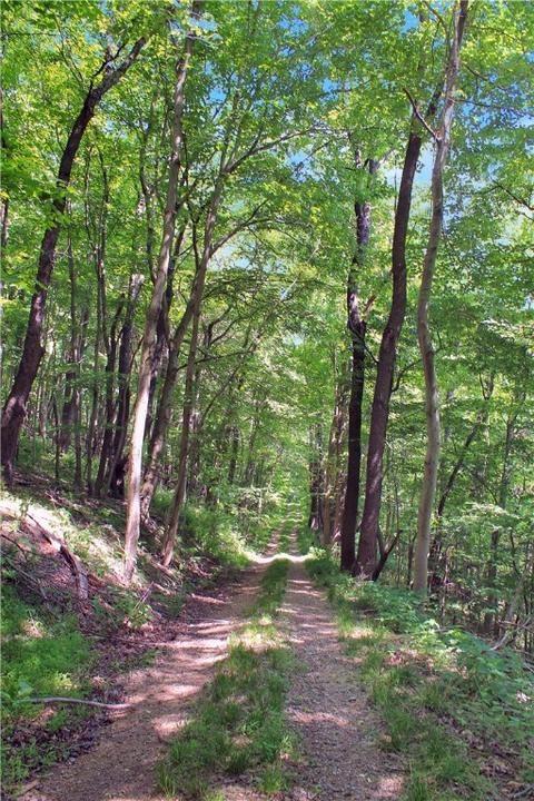 111 Bauer Rd, Monaca, PA 15061 photo 36