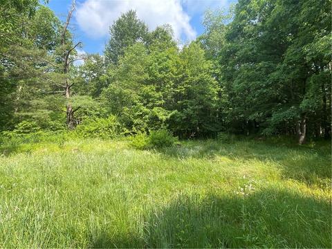 000 Roaring Run Rd, Champion, PA 15622