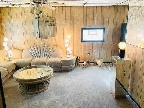 9779 Laurel Ave, Irwin, PA 15642 photo 8