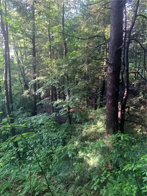 0000 Spruce Grove Rd, Penn Run, PA 15765