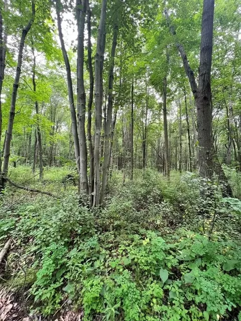 0151 Dennison Run Rd, Polk, PA 16342