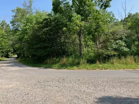 0 Thatcher Rd, New Florence, PA 15944