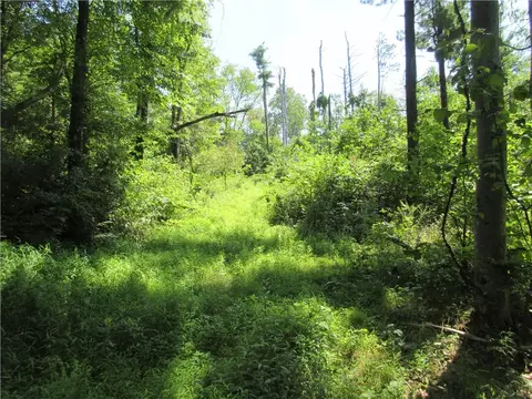 0 Sarver Rd, Sarver, PA 16055
