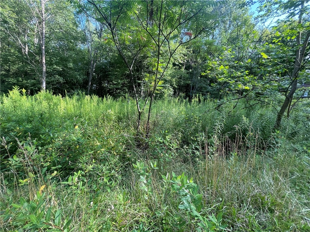 LOT 35 SHELLEY Ln  
