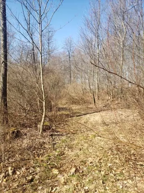 00 Pilgram Rd, Hadley, PA 16130