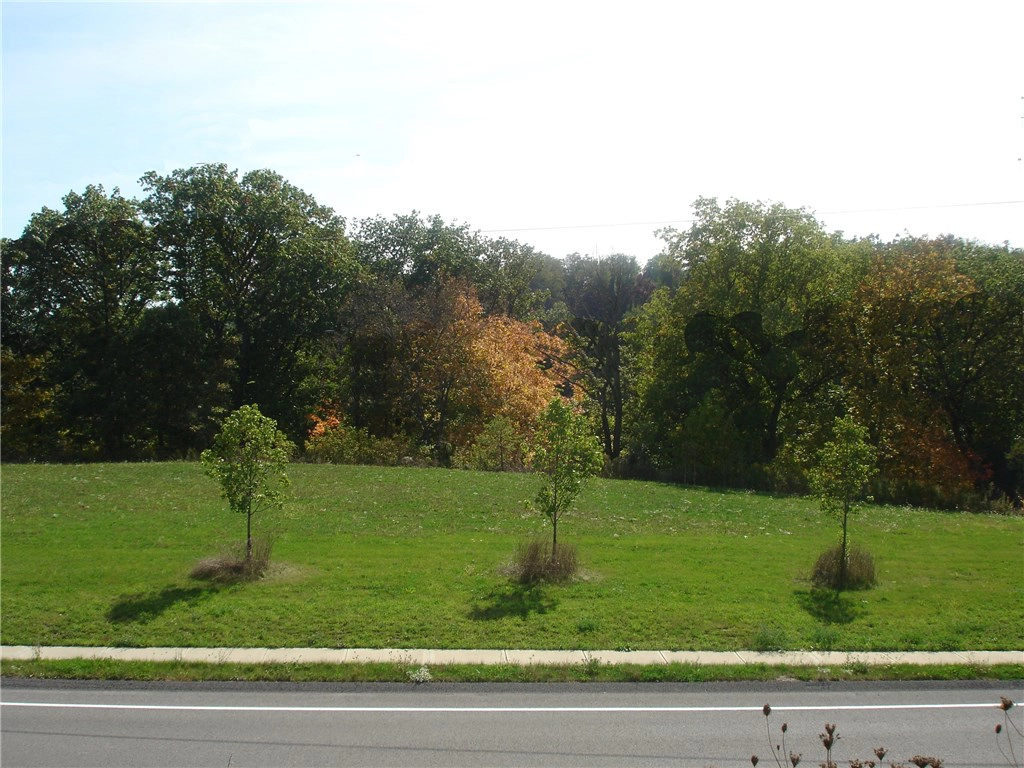 Lot 301 Cook School Rd  