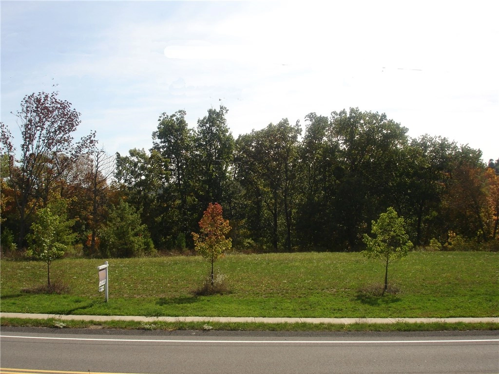 Lot 302 Cook School Rd  