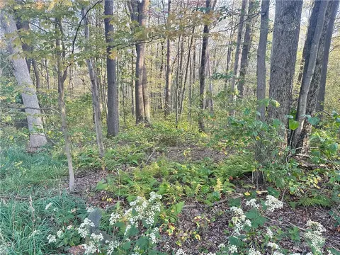 100 County Line Road, Champion, PA 15622