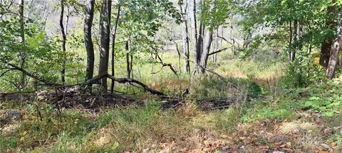 000 Aloe, Punxsutawney, PA 15767