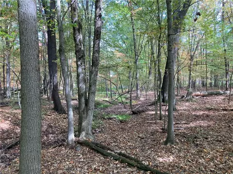 Parcel C Kriess Rd-stardust Court, Butler, PA 16001