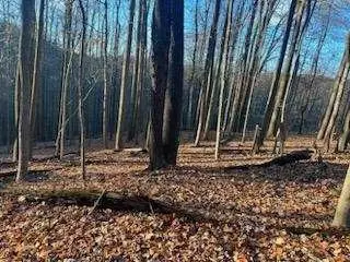16 Laidleys Run Rd, West Alexander, PA 15376